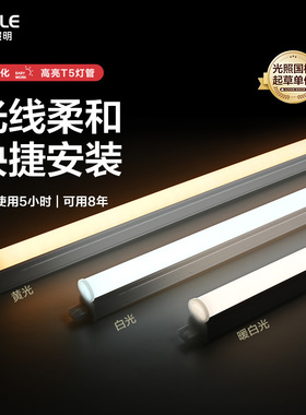 欧普opple灯管T5led灯一体化日光灯家用灯条支架三色单色十只装