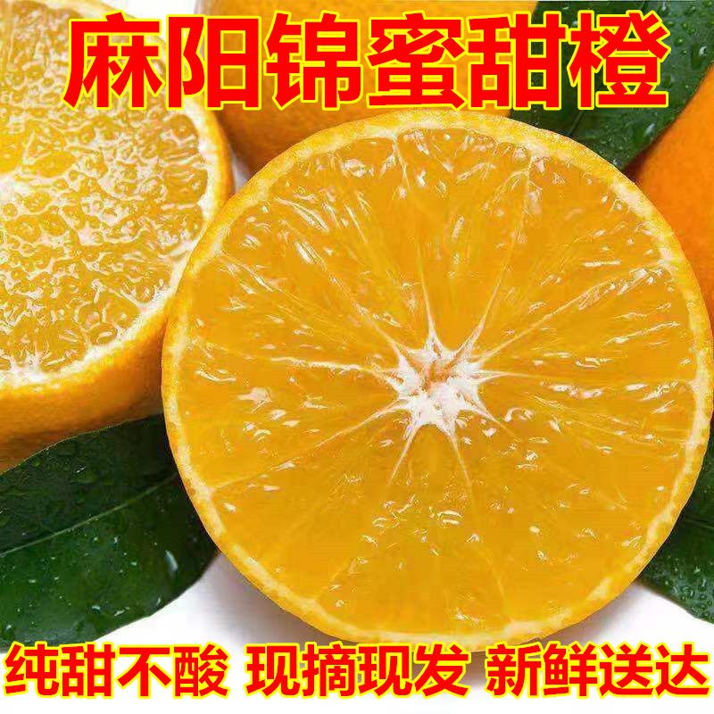 正宗湖南麻阳锦蜜冰糖橙纯甜超甜橙新鲜水果当季自然成熟手剥包邮