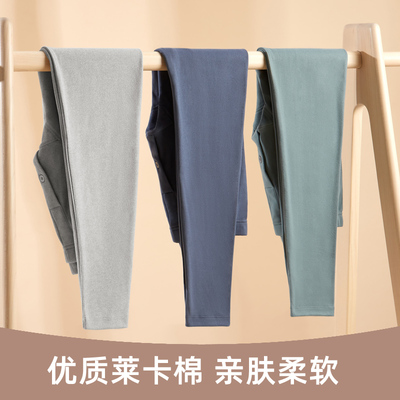 贴身领域纯棉秋裤男士