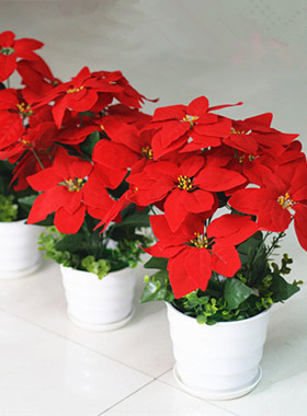 仿真一品红花艺盆栽仿真干花套装饰假花绢花客厅餐桌摆设摆放花卉