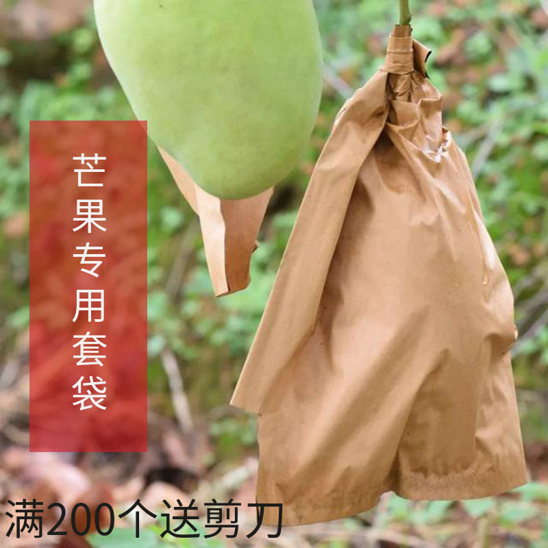 芒果套袋专用袋子防虫防水设计 刀把式金黄芒果用纸袋 凯特芒果防