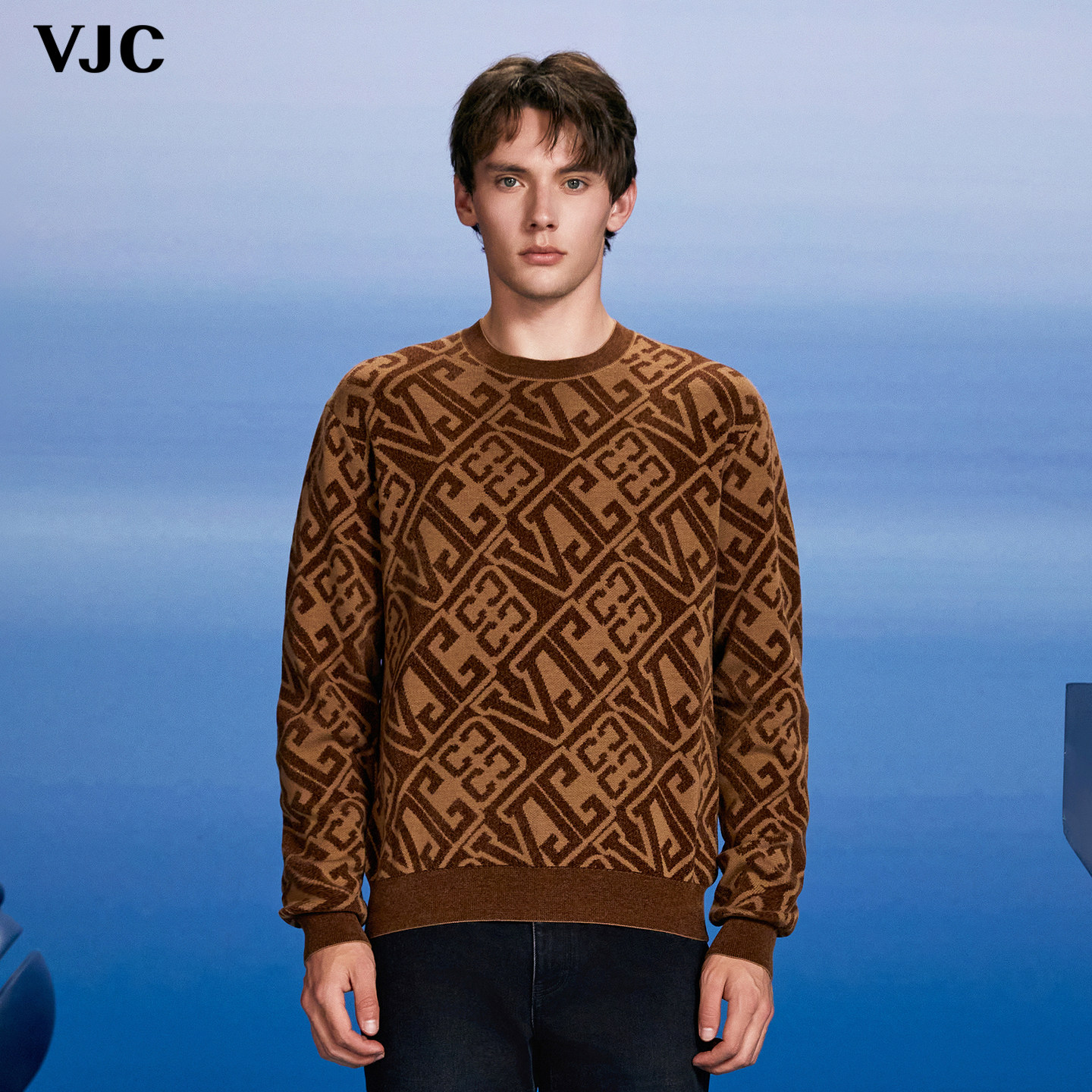 VJC/威杰思2025秋冬新款男装时尚提花长袖毛织衫B24DC2200,男装,针织衫/毛衣,淘宝优惠券,粉丝福利购,淘宝优惠卷