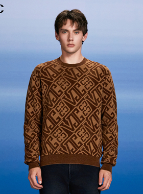 VJC/威杰思2025秋冬新款男装时尚提花长袖毛织衫B24DC2200