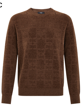 VJC/威杰思2025秋冬新款男装时尚烫钻绵羊毛针织衫B24DC2213