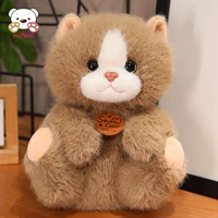 Сидя коричневым