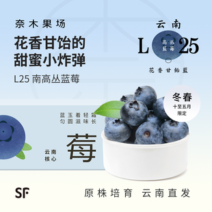 奈木果场L25云南花香蓝莓鲜果枝冠甘饴 特级现摘香甜22mm整箱礼盒