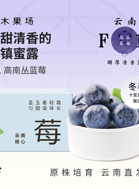 奈木果场F11云南蓝莓花香脆甜清香玉溪高山稀种特大22mm顺丰礼盒