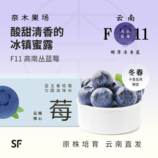 奈木果场F11云南蓝莓花香脆甜清香玉溪高山稀种特大22mm顺丰礼盒
