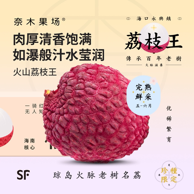 海南火山荔枝王特大现摘空运礼盒