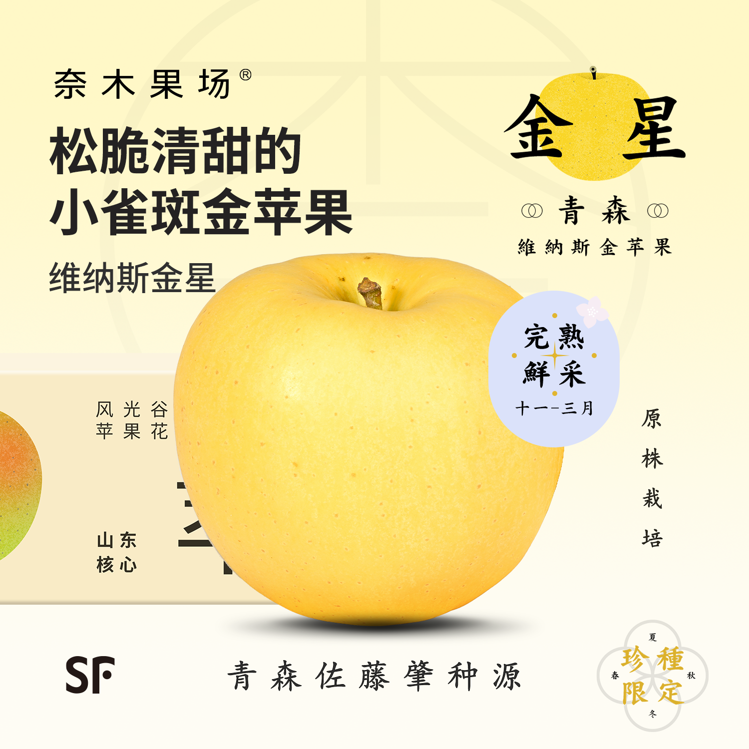 青森金星维纳斯黄金苹果冬恋礼盒