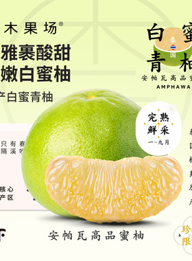 奈木果场白蜜青柚特级新鲜树熟清雅酸甜泰国安帕瓦原产蜜柚sf礼盒