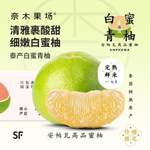 奈木果场白蜜青柚特级新鲜树熟清雅酸甜泰国安帕瓦原产蜜柚sf礼盒