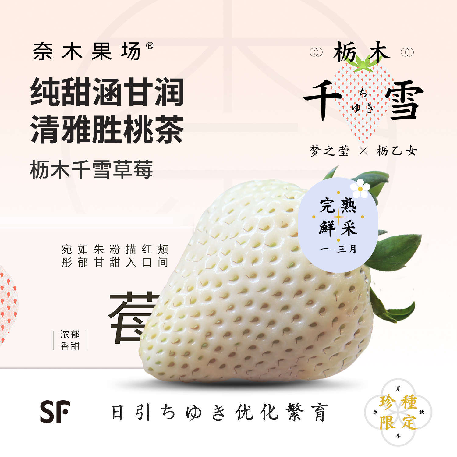 奈木果场千雪白草莓日引梦之莹细腻冰淇淋口感丹东温室产顺丰礼盒,水产肉类/新鲜蔬果/熟食,草莓,淘宝优惠券,粉丝福利购,淘宝优惠卷