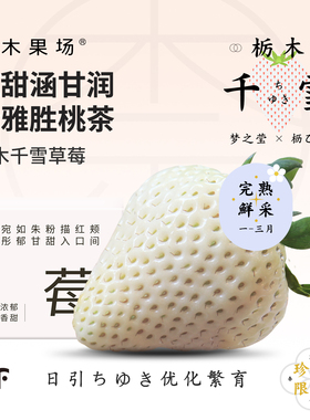 奈木果场千雪白草莓日引梦之莹细腻冰淇淋口感丹东温室产顺丰礼盒