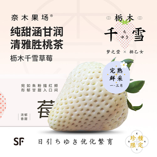 奈木果场千雪白草莓日引梦之莹细腻冰淇淋口感丹东温室产顺丰礼盒