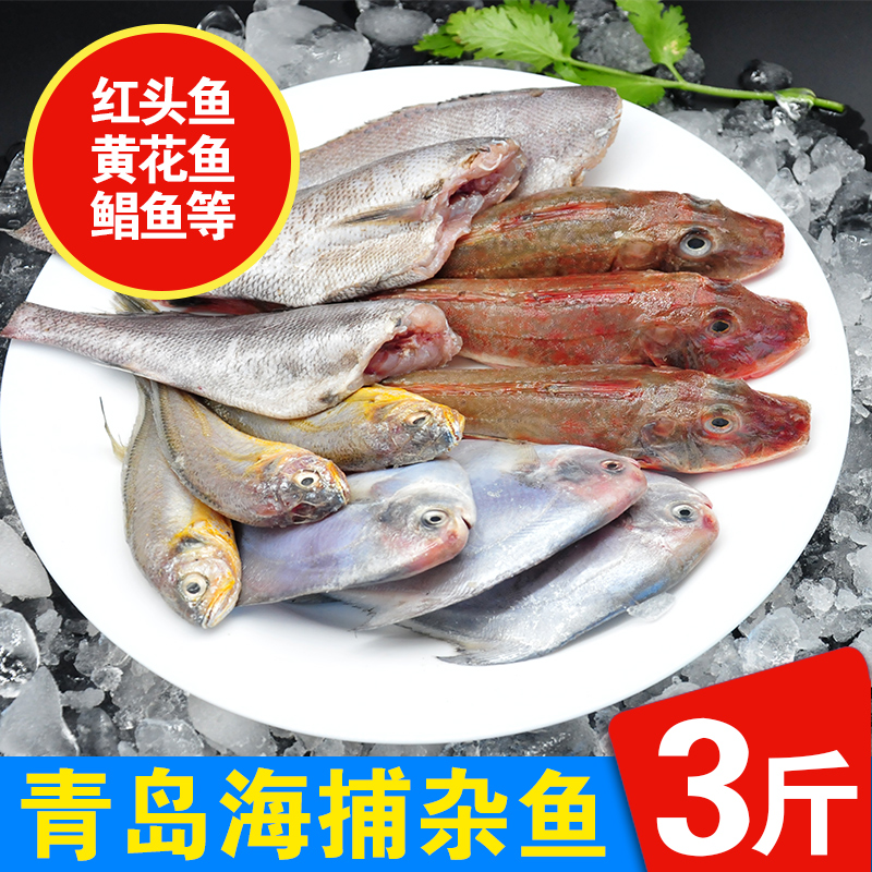 海捕杂鱼海鲜鱼类3斤装