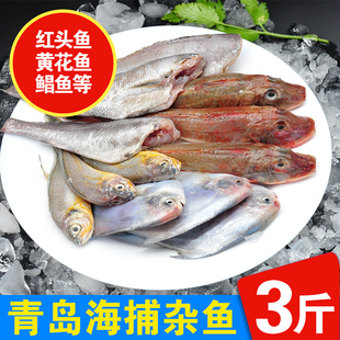 青岛海杂鱼新鲜冷冻海鲜鱼类深海鱼少刺3斤装鲳鱼小黄鱼红娘鱼
