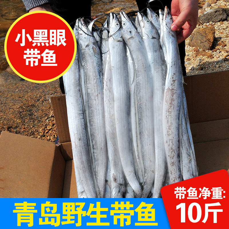 青岛海捕整箱整条小眼带鱼
