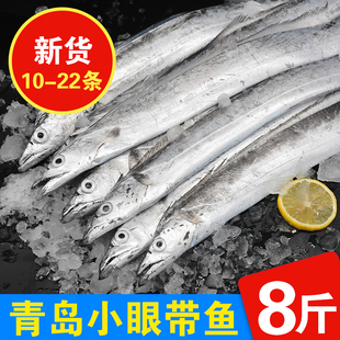 青岛小眼带鱼新鲜冷冻特大海鲜非东海舟山整条整箱海鱼黄渤海刀鱼