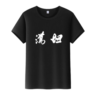 中国风书法坦荡T恤国潮文字荡妇短袖个性定制印字纯棉圆领衣服夏