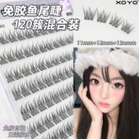 XOYO鱼尾自然免胶假睫毛懒人单簇日常新手仿真分段式假睫毛伪素颜