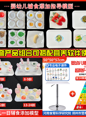 哈喇仔膳食指导模型一比一仿真