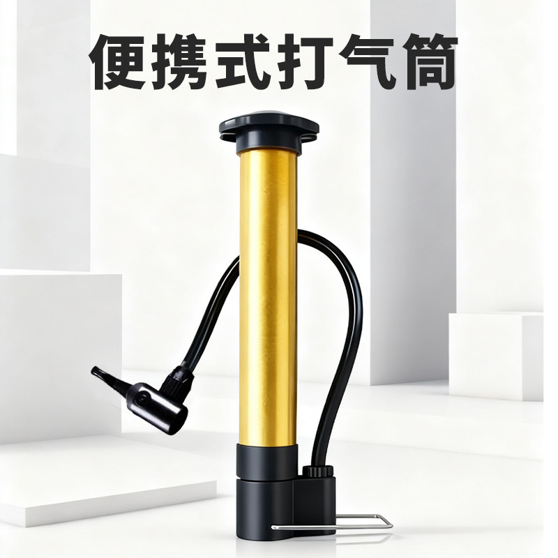 迷你便宜自行车篮球足球排球气筒图片