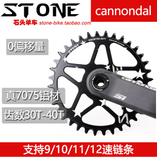 STONEDW 佳能 戴尔cannondal SI SL SISL 直装正负齿盘片圆盘12速