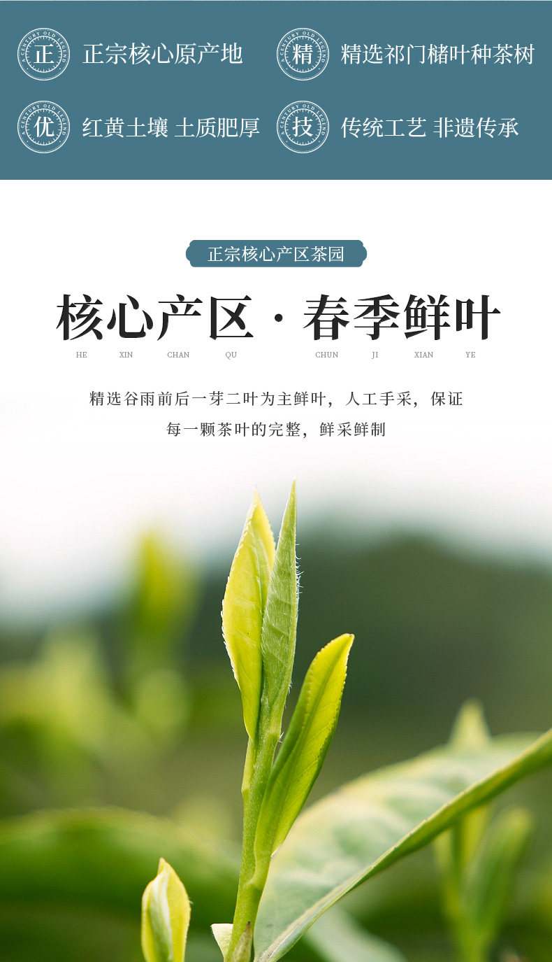 天之红祁门红茶特二级祁红1985传统工夫红茶原产地罐装茶叶200g