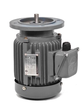 ADLEEPOWER爱德利AEVF 1/4HP 4P三相380V感应步电动机铜质电机