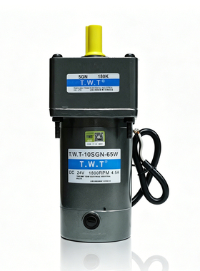 TWT直流24V减速电机65W 1800RPM小型工业正反转齿轮减速马达电机
