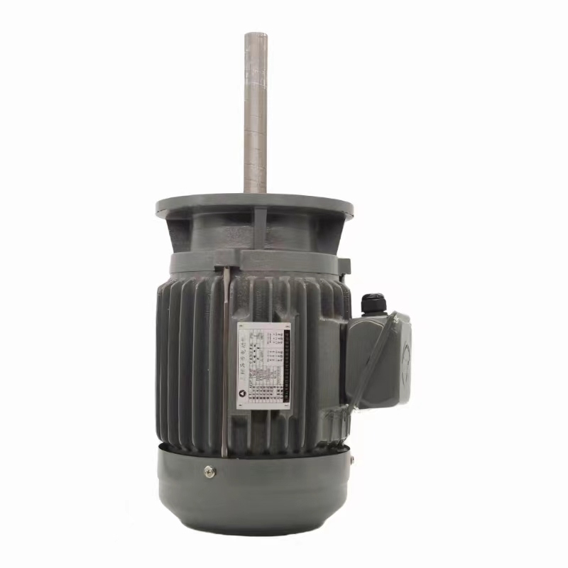 台湾爱德利普通aevf长轴电机