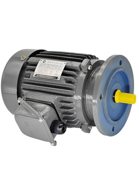 台湾ADLEEPOWER爱德利立式电机AEVF1/2HP4P370W三相异步电动机ACO