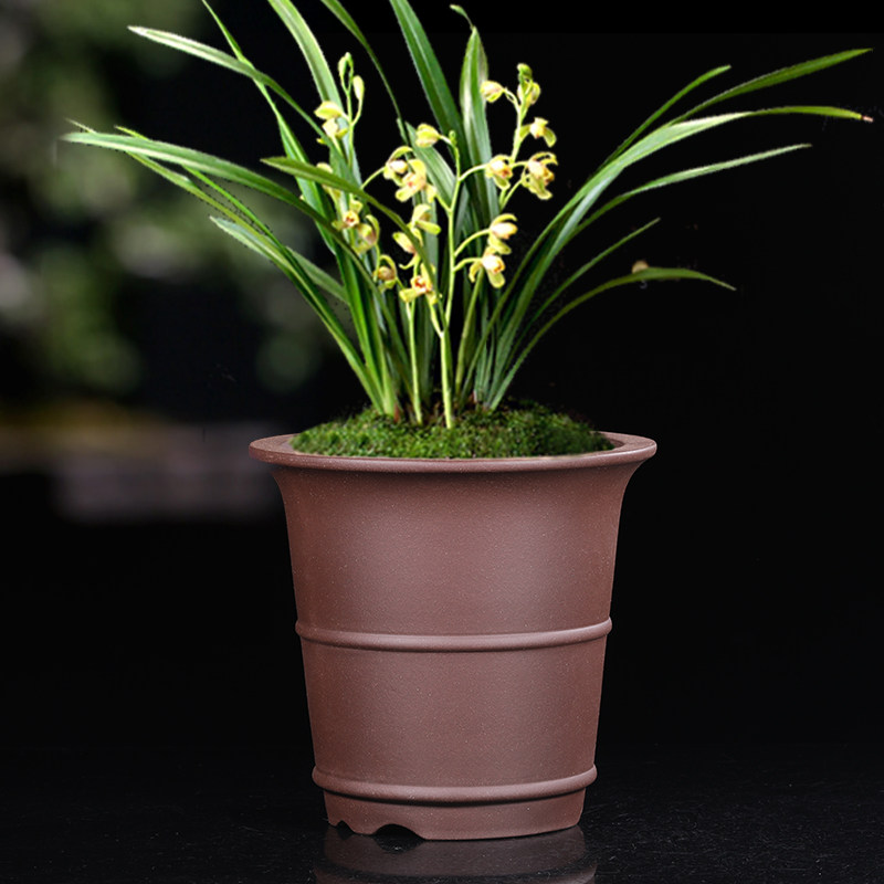 紫砂兰花盆个性透气精品吊兰春兰盆悬崖桌面蝴蝶兰花卉盆景盆包邮