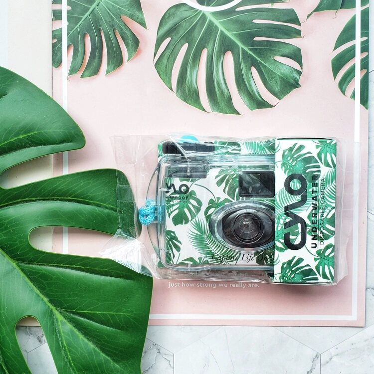 미국 다이빙 CYLO 수중 카메라 일회용 필름 방수 스키 수중 수중 매우 차가운 물 땅 비오는 날