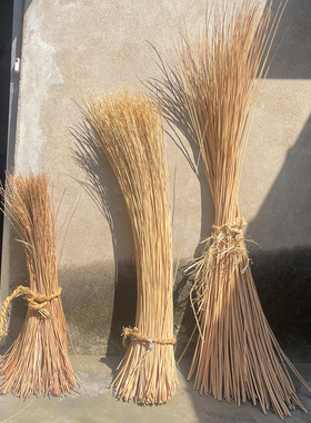 天然柳条藤条柳编材料手工编织材料编织辅料产地临沂白柳去皮圆条