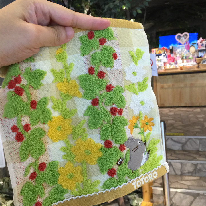 宫崎骏龙猫Totoro儿童卡通