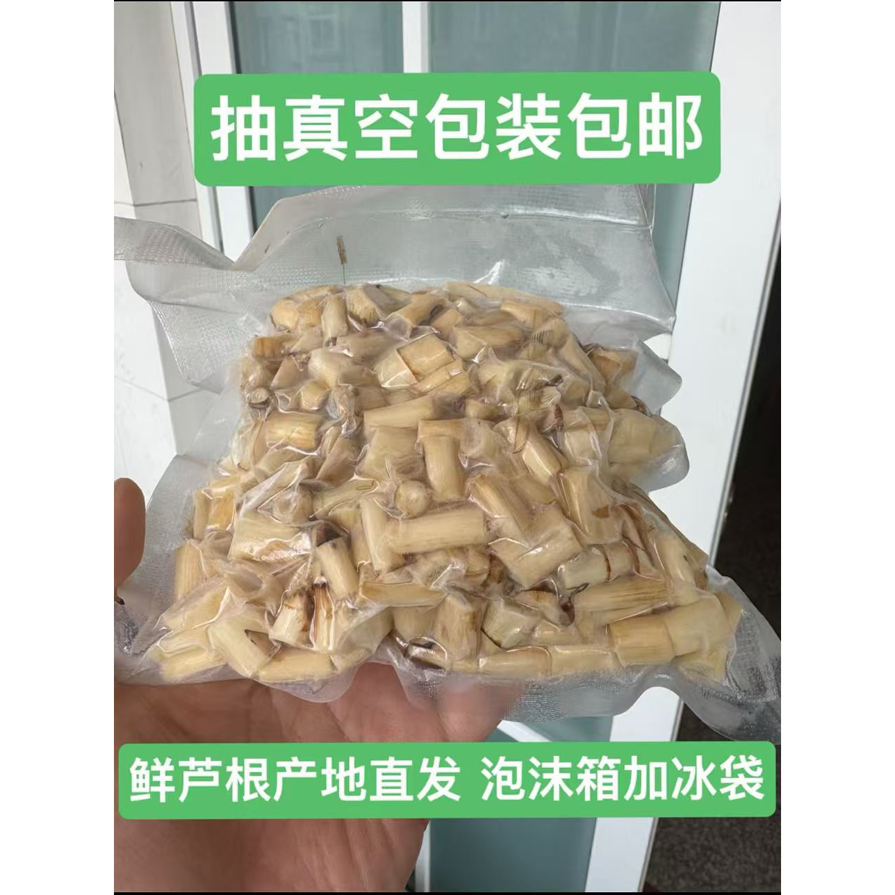 蜀德堂新鲜芦根芦苇根芦茅根苇根芦头苇子根芦芽根甜梗子500g包邮