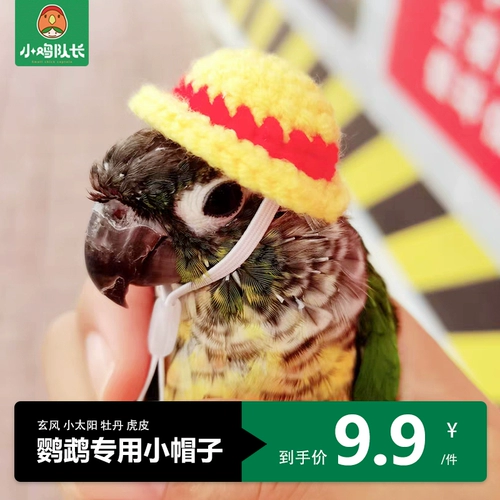Xuanfeng Tiger Peony Peony Pacific Spec Phoenix Parrot Special Hat Ship Bird Pet Headpot Heads