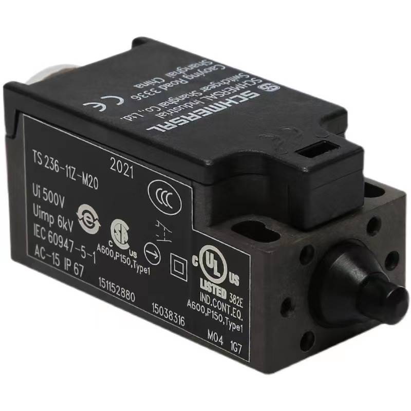 德国Schmersal 101172152AZM161SK-12/12RKN-024