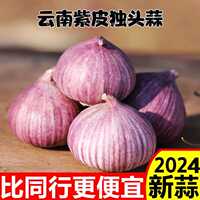 独蒜2024独头新大蒜云南大理紫皮干蒜新鲜现挖湿大蒜鲜泡蒜红珍珠