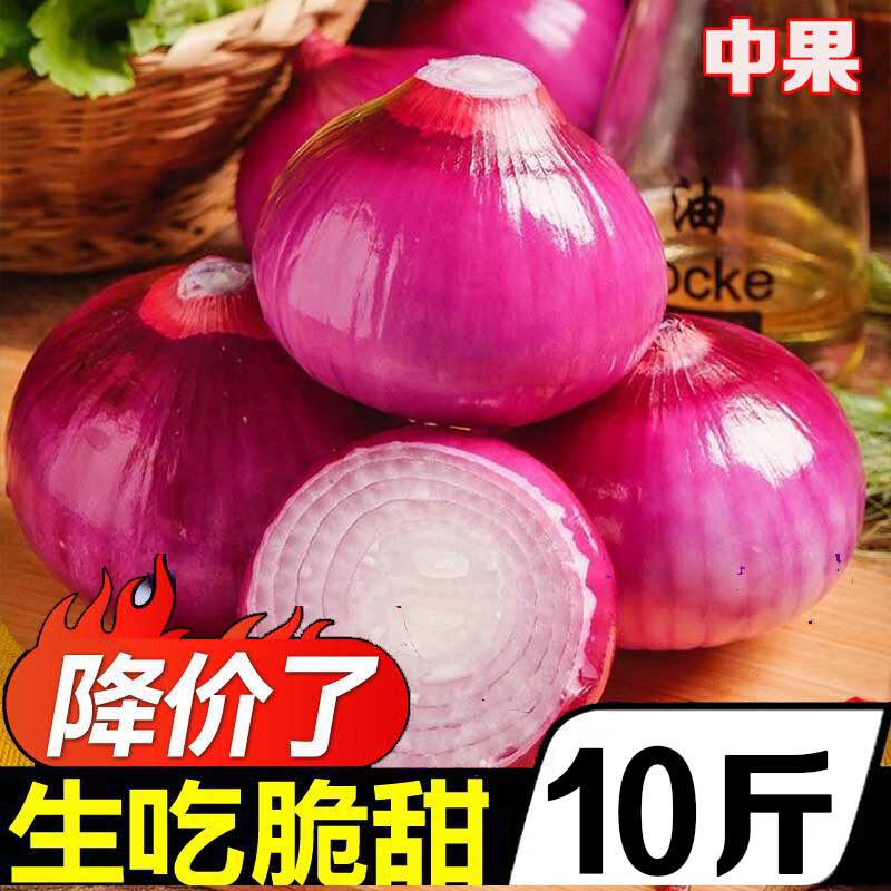 洋葱云南紫皮小红洋葱头圆葱头新鲜应季蔬菜农家甜可生吃除高原