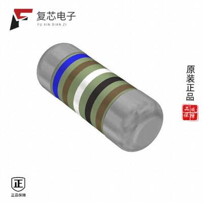 全新正品SMM02040C6190FB300|SMM02040C6191FB300