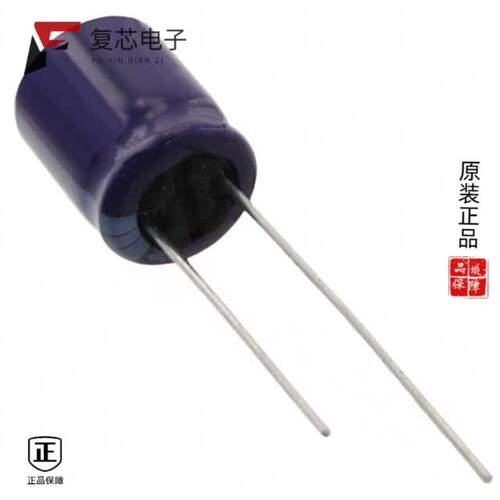 全新正品ECA-2VM4R7|ECA-2WHG2R2|ECA-2WHG3R3