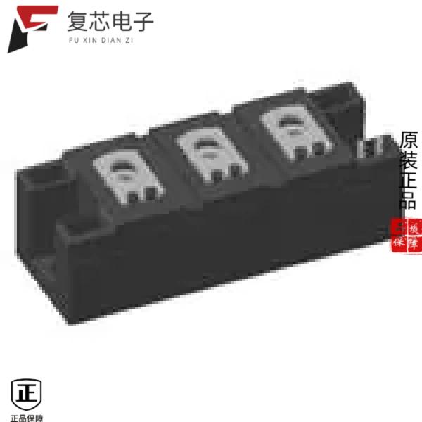 原厂正品MDD200-22N1全新DIODE MODULE 2.2KV 224A Y4-