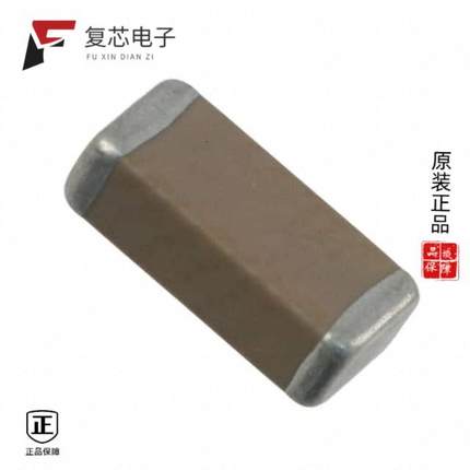 原厂正品302R29W102KV4E全新CAP CER 1000PF 3KV X7R 1