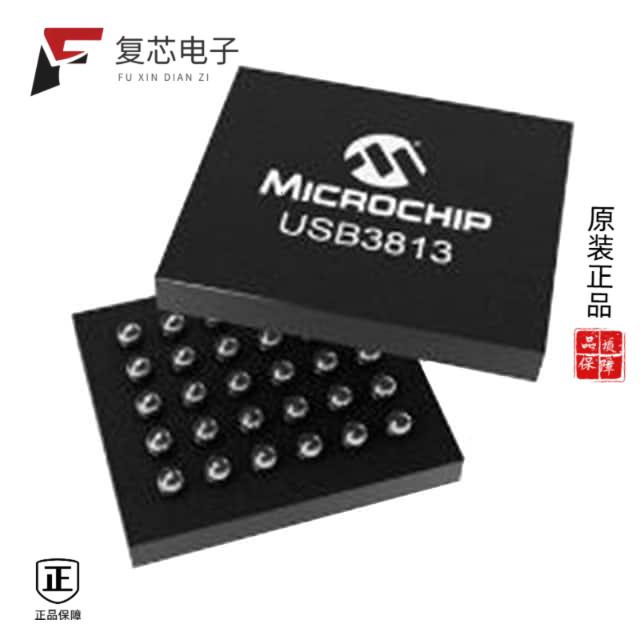 原厂正品USB3813-1080XY-TR全新IC HB CTLR USB 2.0 30