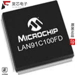 FEAST 原厂正品 CTRLR SS全新IC ETHERNET LAN91C100FD