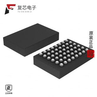 原厂正品B250W48A106E1G全新IC DSP AUDIO 16BIT 48WLC