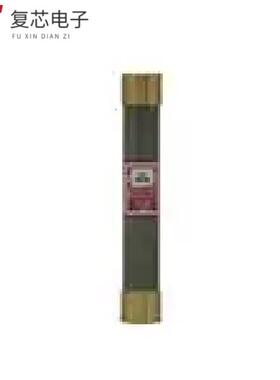 RES-10全新FUSE SUPER LAG RENEWABLE 10/600原厂正品